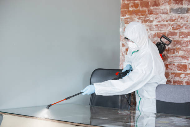 Why You Should Choose Our Mold Remediation Services in Seeley, CA